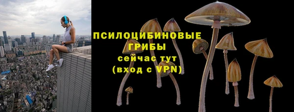 PSILOCYBIN Бронницы